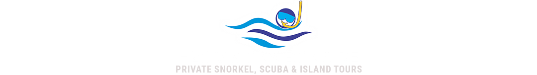 H2O Visions Bonaire - 1080x151 Logo H2O Visions Bonaire - 1080x151 Logo