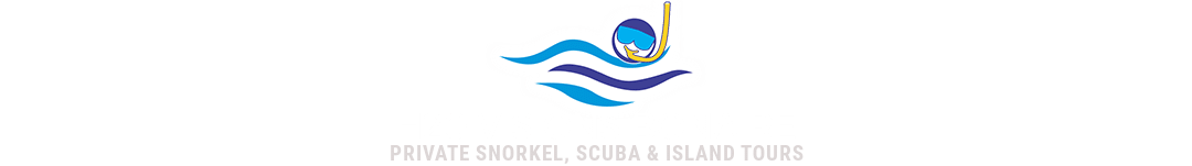 H2O Visions Bonaire - 1080x151 Logo