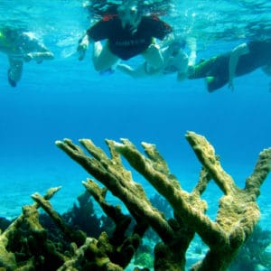 Snorkeling Bonaire - H2O Visions Bonaire - Interactive Banner - Snorkel Tours