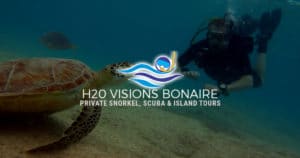 Snorkeling Bonaire - H2O Visions Bonaire - Social Meta Image