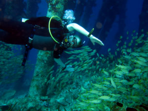 Snorkeling Bonaire - H2O Visions Bonaire